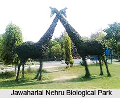 Bokaro Steel City, Bokaro District, Jharkhand