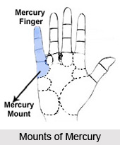 Mounts in Palmistry