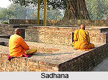 Raja Yoga, Ashtanga Yoga