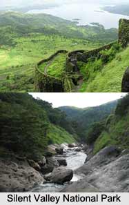 Tourism in Palakkad