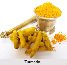 Ayurvedic Spices