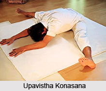 Hatha Yoga Asanas
