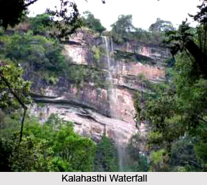 Tourist places in Chikmagalur, Karnataka