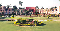Anand Agricultural University