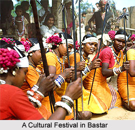 Culture of Chhattisgarh