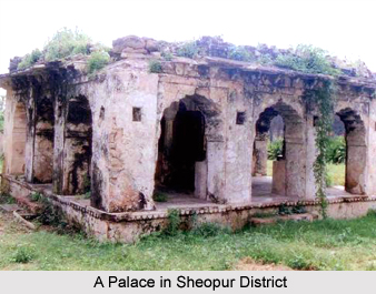 Sheopur District, Madhya Pradesh
