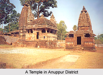 Anuppur District, Madhya Pradesh