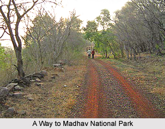 Tourism in Shivpuri District, Tamil Nadu