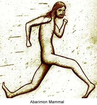 Abarimon , Indian Mammal