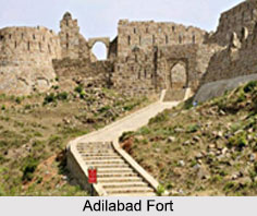 Adilabad Fort, Delhi
