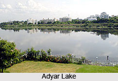 Adyar River