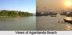 Agardanda Beach, Maharashtra