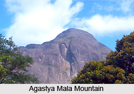 Agastya Mala Mountain, South India
