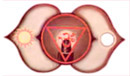 Agnya Chakra 