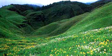 Aizwal