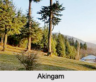 Akingam, Anantnag District, Jammu and Kashmir