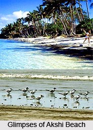 Akshi Beach, Alibaug, Maharashtra