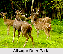 Alisagar Deer Park, Andhra Pradesh