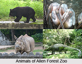 Allen Forest Zoo, Kanpur, India