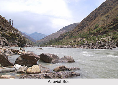 Alluvial Soil in India