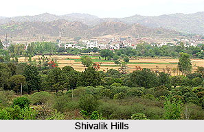 Altitudinal Zones of Vegetation in Mountainous Regions of India