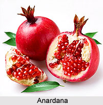 Anardana