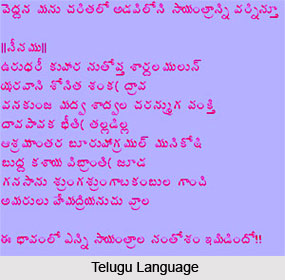 Andhra language