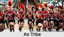Ao Naga Tribe, Nagaland