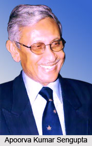 Apoorva Kumar Sengupta, Indian Cricket Player