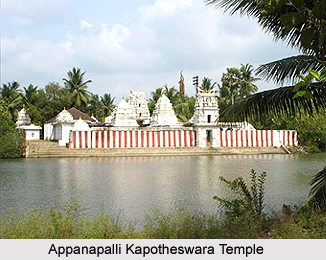 Konaseema, Andhra Pradesh