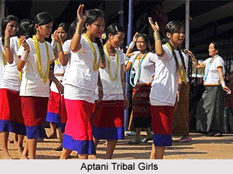 Tribal Jewellery of Arunachal Pradesh