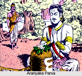 Aranyak Parva, 18 Parvas of Mahabharata