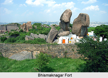Archaeology of Lower Dibang Valley District