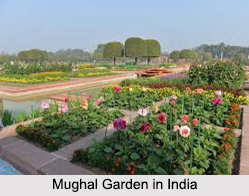 Architecture of Mughal Gardens in India