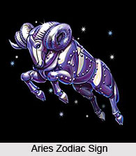 Features of Zodiac Signs
