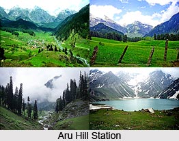 Aru, Anantnag District, Jammu and Kashmir