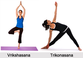 Asanas in Standing Pose, Yoga Asanas