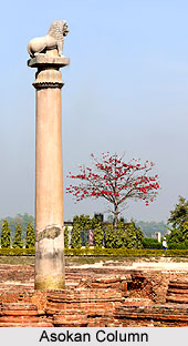 Asokan Column, Kolhua