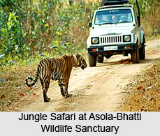 Asola-Bhatti Wildlife Sanctuary, Delhi