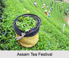 Assam Tea Festival, Assam