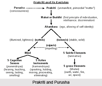 Avidya ksetram uttaresam prasupta tanu vicchinna udaranam, Patanjali Yoga Sutra