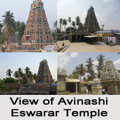 Avinashi Eswarar Temple, near Tiruppur, Tamil Nadu