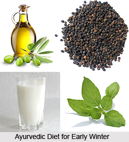 Ayurvedic Diet for Early Winter