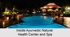 Ayurvedic Natural Health Center and Spa , Goa
