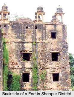Sheopur District, Madhya Pradesh