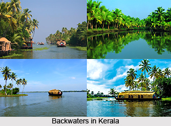 Backwaters in Kerala