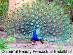 Badalkhol Wildlife Sanctuary, Chhattisgarh