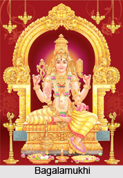 Bagalamukhi