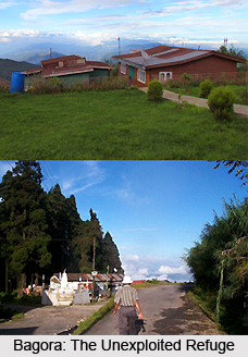 Bagora, Kurseong