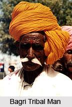 Bagri Language